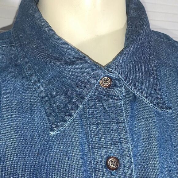 Tasmanian Devil Looney Tunes She-Devil Taz Flames Sleeveless Denim Button Top Wo - Picture 7 of 11